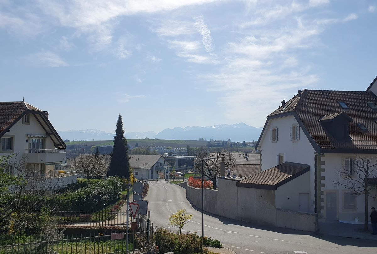 20250404_112209-2_2025-10-24-122856